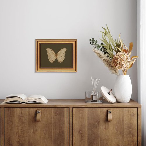 Gold Framed Vintage Butterfly Canvas Wall Art - Moody Insect Artwork for Living Room & Office | 8x10