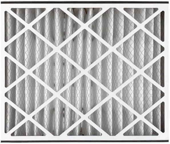 Trion Air Bear Pleated Air Filter - MERV 11 | 20” x 25” x 5” (2-Pack) for Superior Air Quality