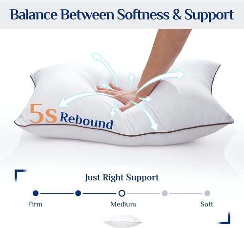 JOLLYVOGUE Queen Size Pillows - Soft Down Alternative Bed Pillows for Side & Back Sleepers | Set of 2