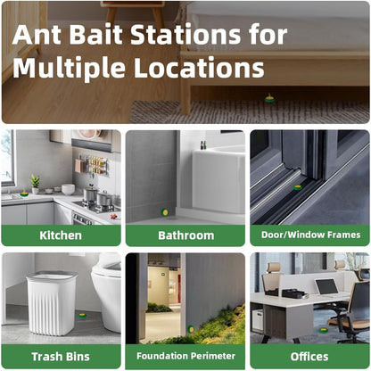Skiennix Ant Killer Gel Bait Stations - 36 PCS Extra Strength Traps for Carpenter Ants | Safe & Easy to Use