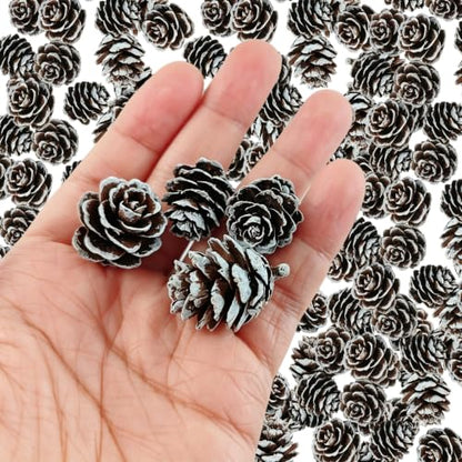Natural Mini Pine Cones for Holiday Decor & Crafts - 160pcs