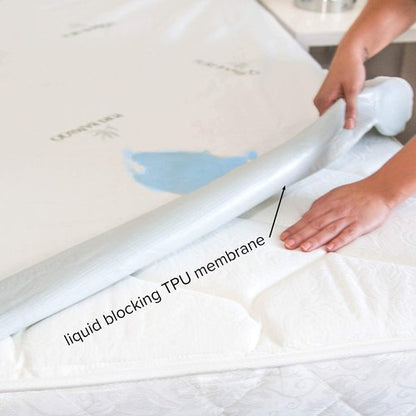 Queen Mattress Protector by PURE BAMBOO, Waterproof - Viscose Derived from Bamboo, Breathable, Noiseless Mattress Cover Protects Against Moisture, Spills, Stains (Queen)