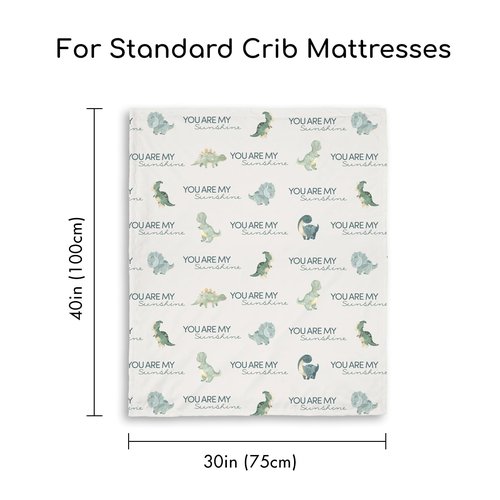 CIVARUA KIDS Dinosaur Baby Blankets for Boys, Super Soft Newborn Nursery Blanket with Double Layer Dotted Backing - Blue Babies Minky, Cozy Printed Bed Throw Blanket (30" x 40")
