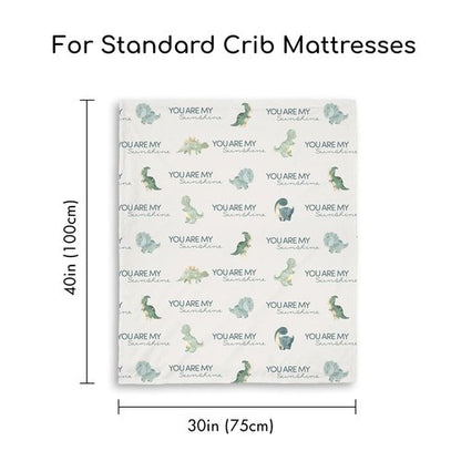CIVARUA KIDS Dinosaur Baby Blankets for Boys, Super Soft Newborn Nursery Blanket with Double Layer Dotted Backing - Blue Babies Minky, Cozy Printed Bed Throw Blanket (30" x 40")