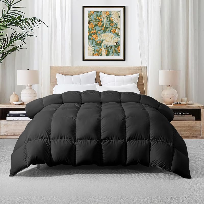 Queen Comforter Black - Down Alternative Duvet Insert, All-Season Bedding