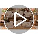 Sleep Cute 6 Pcs Sheep Cardboard Cutouts for Farm Party Decor