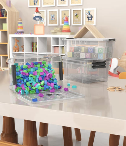 WYT Clear Storage Bins - 6-Pack Organizer Boxes with Handles and Lids | 5-Litre Capacity