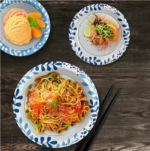 Ultra Dinner Paper Plates - 10-Inch Size | 204 Count for Effortless Entertaining