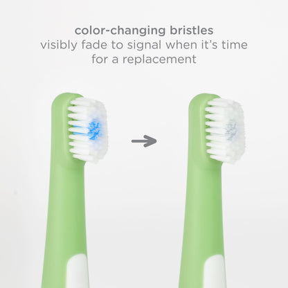 Ubbi Grow with Me Toothbrush Training Set for Babies and Toddlers, Includes One 360° Food-Grade Platinum Silicone and One Soft Bristled Toothbrush, Polaris Blue and Zest Green