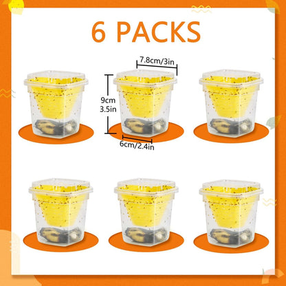 Reusable Fruit Fly Trap by Skiennix - Non-Toxic & Safe for Kids and Pets | Easy Kitchen Control - 6 Pack