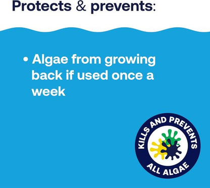 HTH 67084 Algae Guard - Advanced All Algae Eliminator for Crystal Clear Pools | 32 fl oz