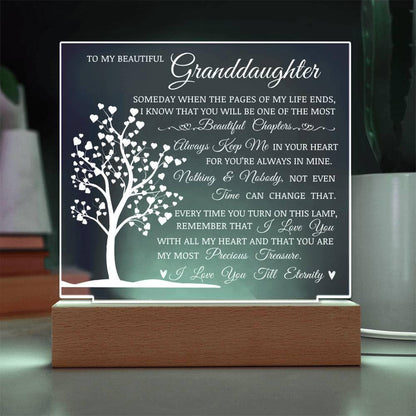 To My Beautiful Granddaughter, You Are My Most Precious Treasure, Acrylic Plaque with Decorative Light, Heartwarming Gift for Granddaughter, Gift from Grandma or Grandpa, Birthday Christmas Gift Idea