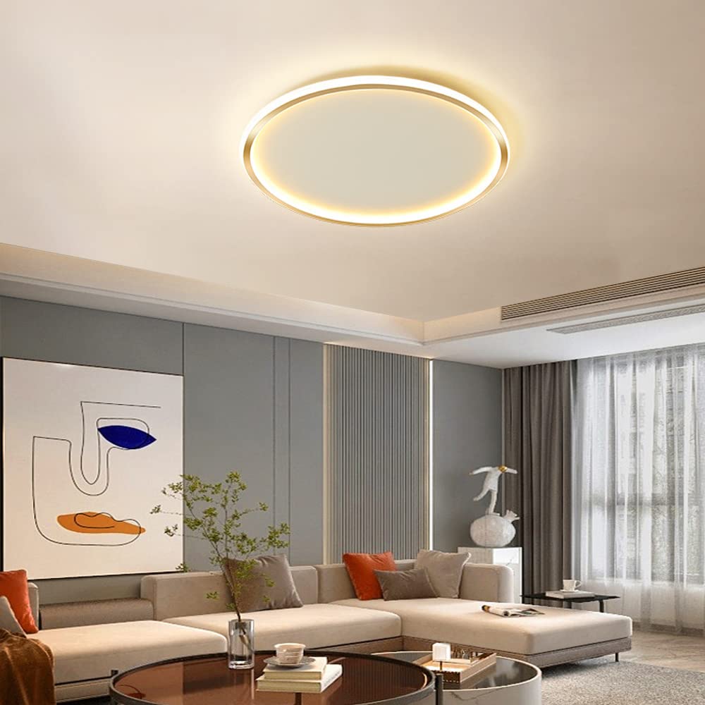 Dimmable LED Ceiling Light Fixture Flush Mount,24" Modern Round Recessed Ceiling Lamp with APP Adjustment,Gold 66W Close to The Ceiling Lighting Living Room Bedroom,3000K-6000K