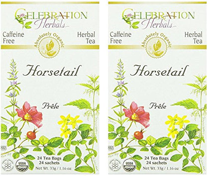 Celebration Herbals Organic Horsetail Tea Bags 24 Count