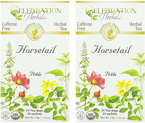 Celebration Herbals Organic Horsetail Tea Bags 24 Count