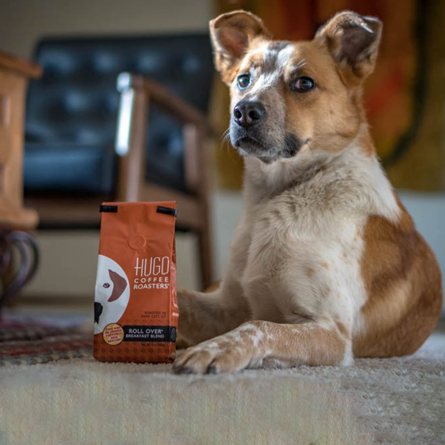 Hugo Coffee Ground Roll Over Breakfast Blend Coffee with Bright, Playful, & Sweet Tasting Notes | Hugo Supports Dog Rescues (12 oz)