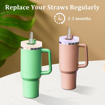 Stanley Replacement Straws - 6 Pack Reusable Straws with Cleaning Brush | 12 Inch Clear Plastic