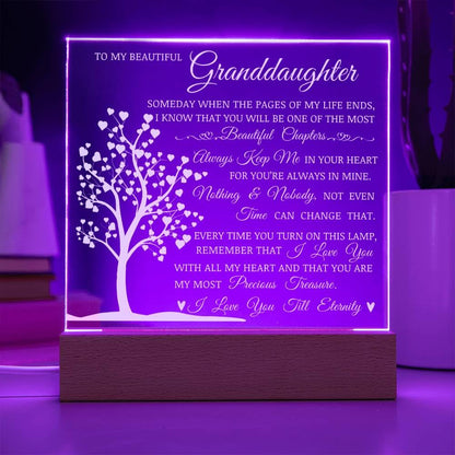 To My Beautiful Granddaughter, You Are My Most Precious Treasure, Acrylic Plaque with Decorative Light, Heartwarming Gift for Granddaughter, Gift from Grandma or Grandpa, Birthday Christmas Gift Idea