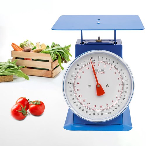 44 lbs Mechanical Dial Scale, Stainless Steel Mechanical Kitchen Scale Flat Platform Weighing Food Scale Heavy Duty Portion-Control Mechanical Scale Food Weight Scale for Kitchen