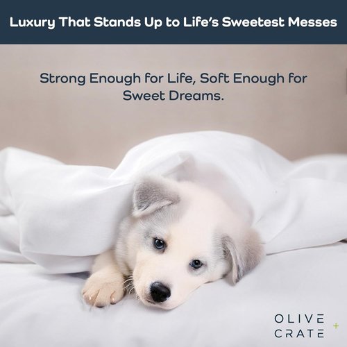 Olive + Crate Tencel Lyocell Eucalyptus Queen Size Sheet Set - Cooling Tencel Sheets for Hot Sleepers with 18 Inch Deep Pocket Fit - White Snow 4-Piece Set