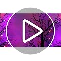 Halloween Black Tree Decorations with Orange Purple LEDs - Style 1, 24 Inch, Indoor Home Centerpiece, Timer, Battery or USB Powered