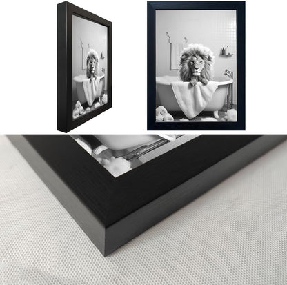 Regine Switzerland Black and White Lion Canvas Wall Art - Funny Animal Print for Bathroom Decor
