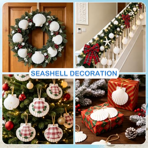 20PCS Sea Shells for Crafts with Holes - 2-3 Inch Natural Scallop Shells