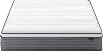 ZINUS 10 Inch True Support Hybrid Mattress - Queen Size, Medium Feel, Fiberglass Free, Motion Isolation, Safe Foams