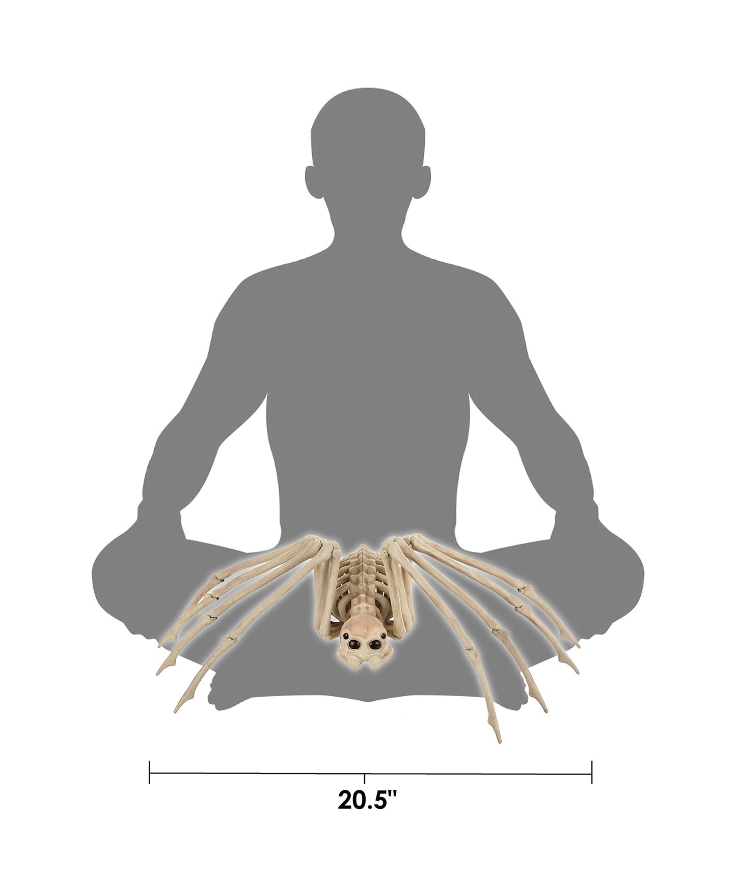 Crazy Bonez Skeleton Spider