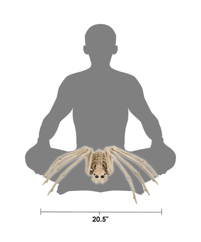 Crazy Bonez Skeleton Spider