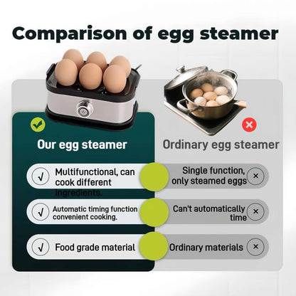 Skiennix Rapid Egg Cooker - 6 Egg Capacity, Soft/Medium/Hard Boiled, Stainless Steel | Silver Gray