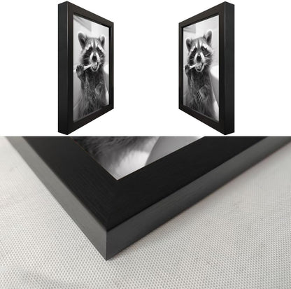 Raccoon Bathroom Art - Funny Black and White Animal Wall Decor | Framed Print for Farmhouse Style