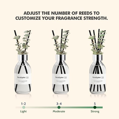 Clesh Eucalyptus Reed Diffuser Set - 6.7 oz Home Fragrance with Sticks | Elegant Bathroom Decor