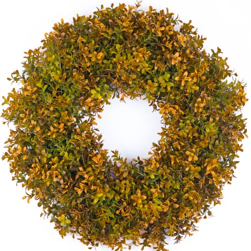 Boxwood Fall Wreath for Front Door - 24in Artificial Autumn Decor, Farmhouse Outdoor Seasonal Decoration