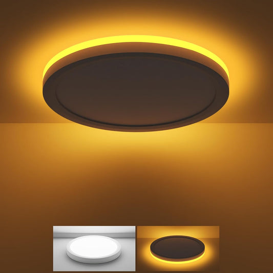 Skiennix 12-Inch LED Ceiling Light - 24W 2400LM Adjustable Warm to Cold White | Ideal for Bedroom, Bathroom, Kitchen