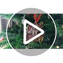 Corgi Dog Ornament for Christmas Tree - Red Truck Aluminum Decor - Corgi 2