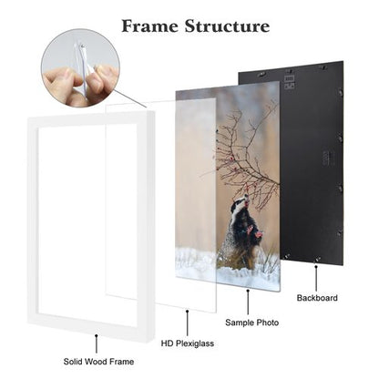 ARTWIND 20x28 Poster Frame 2 Pack, White Solid Wood Photo Picture Frame for Horizontal or Vertical Wall Mounting, Hanging Hardware Included