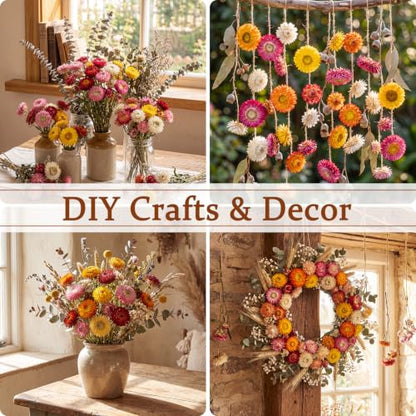 40 Pcs Natural Dried Daisy Flower Bouquet with 11.5" Stems - Pink
