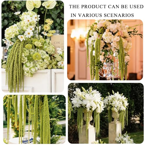 Green Preserved Amaranthus Hanging Flowers - 5 Pcs, 45 Inches