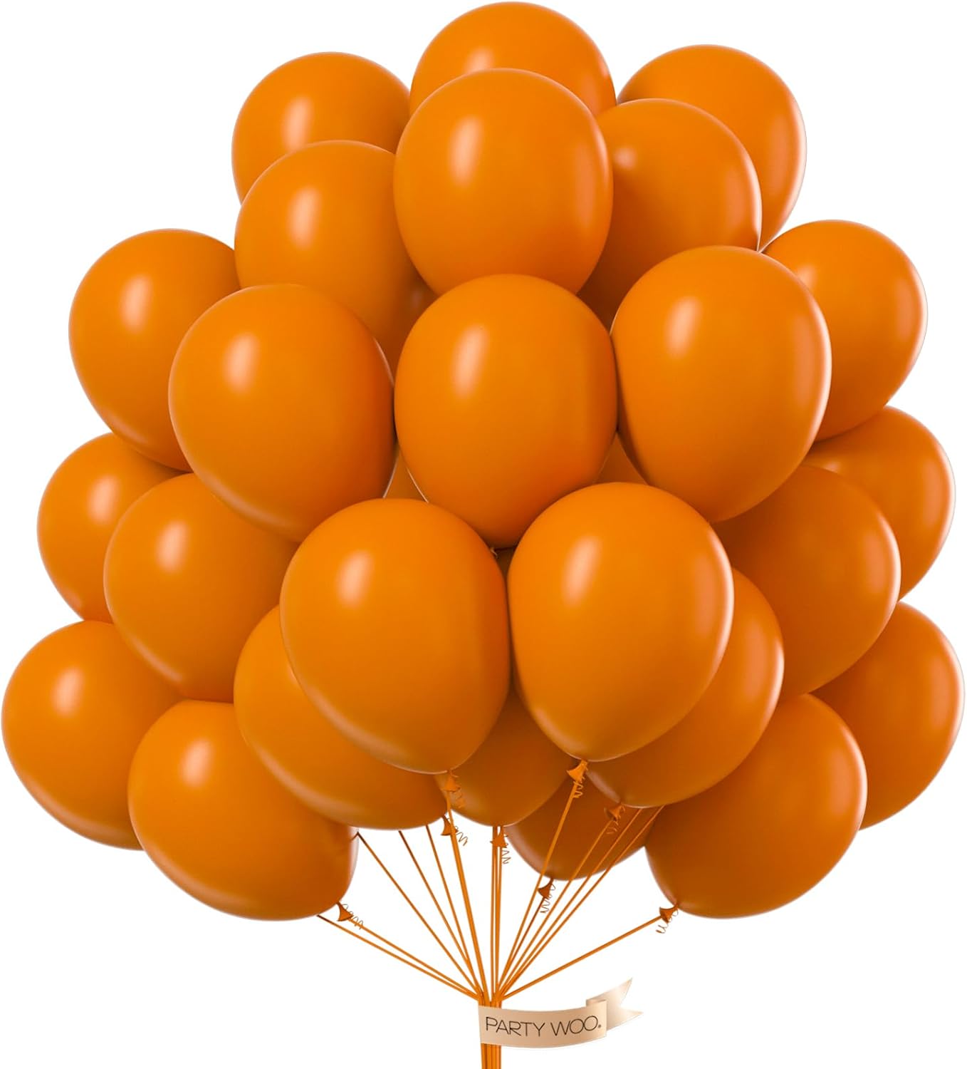 PartyWoo Burnt Orange Balloons - 101pcs 12 Inch Terracotta Rust Autumn Boho Decor Kit for Events