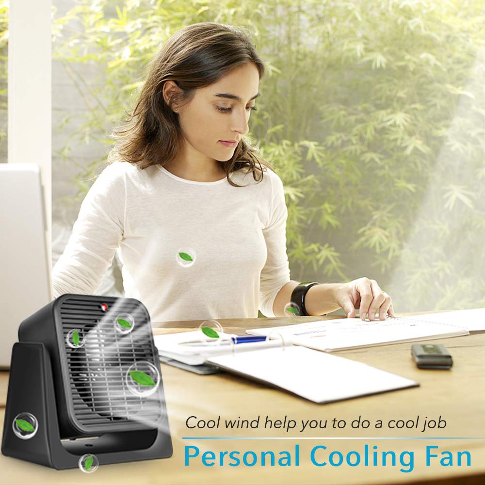 TRUSTECH 2 in 1 Fan and Heater Fan Combo, Portable Cooling Desk Fan, 45° Tilt Air Circulator Fan, 2 Wind Speeds, Tip-Over and Overheat Protection, Space Heater for Indoor Use Home Office, Black