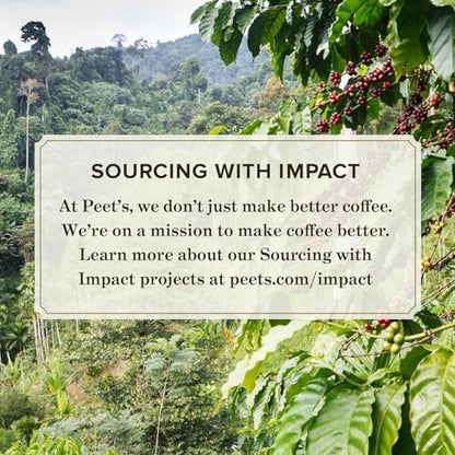 Peet's Coffee, Dark Roast Keurig K-Cup Pods, 100% Arabica Coffee - French Roast 10 Count (1 Box of 10 Pods)