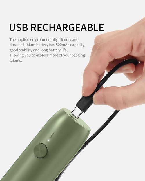 CIRCLE JOY Rechargeable Milk Frother - Handheld Coffee Mixer with Dual Spring Whisk | Green