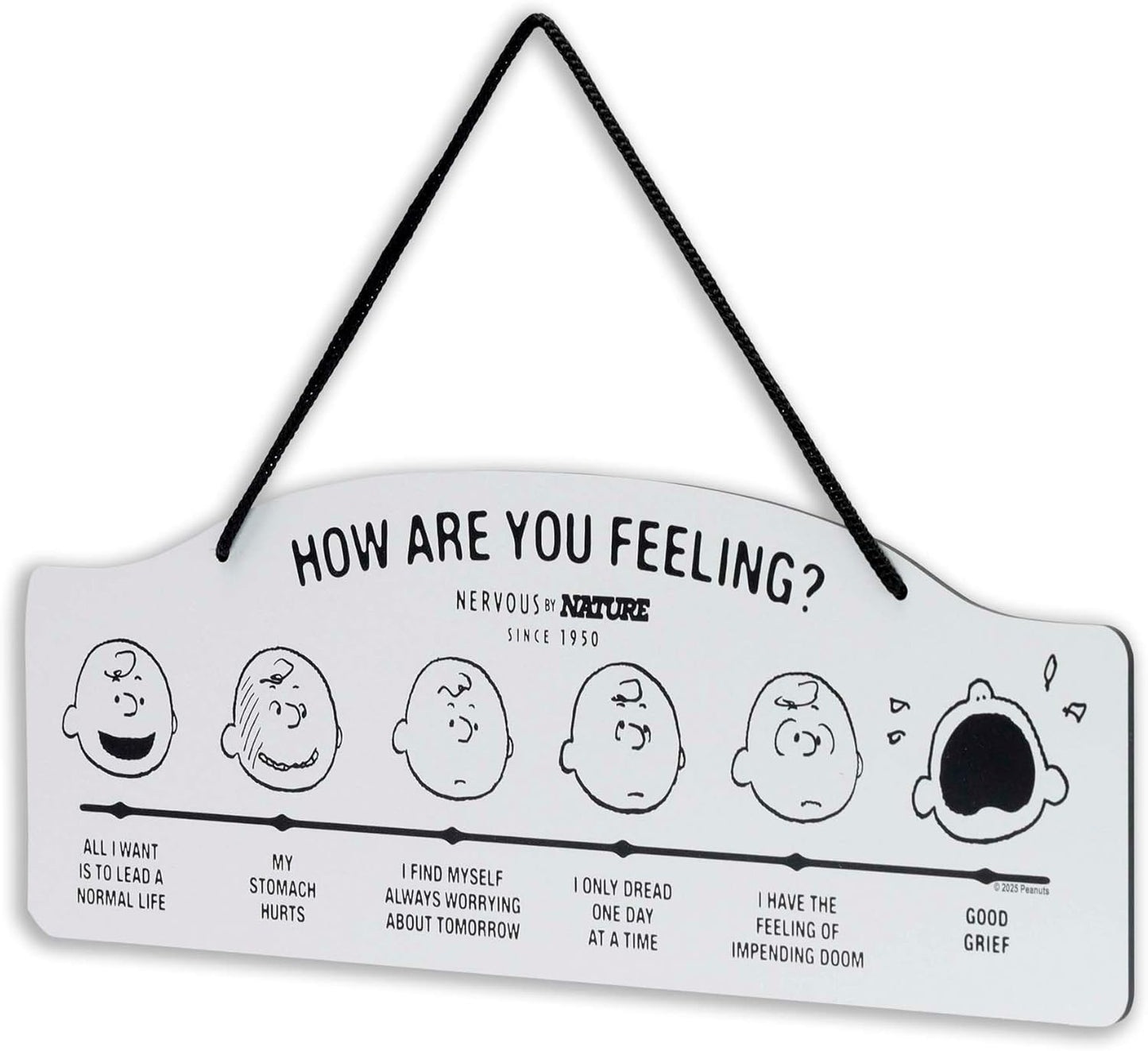 Peanuts How Are You Feeling Hanging Metal Sign - Humorous Wall Decor for Home - Perfect Gift Idea