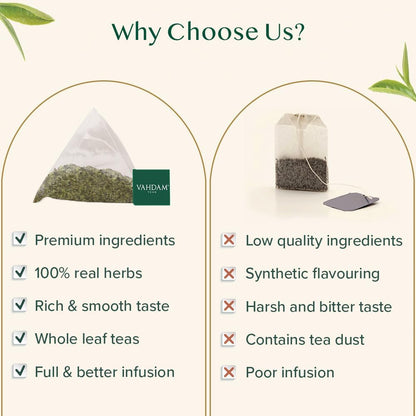 VAHDAM, Mint Green Tea Bags (30 Count) 100% Pure Leaf Tea, High Grown, Low Caffeine, Non GMO, Gluten Free | Individually Wrapped Plant-Based Pyramid Tea Bags | Direct from Source