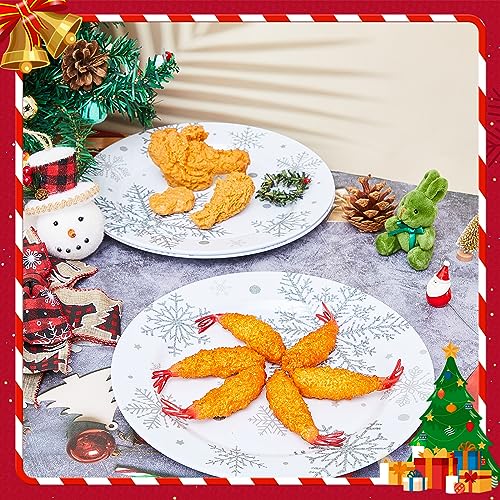 11 Inch Silver White Snowflake Christmas Plates Set of 10 - Winter Party Dinnerware