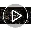 Moon Phase Queen Comforter Set - Celestial Bedding with Botanical Design - Variation Moon 01