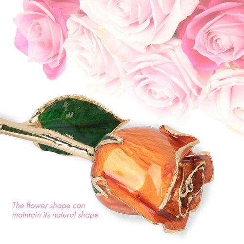 24K Budding Gold Rose Her, Real Golden Plated Red Rose, Gold Dipped Flower Present for Wife, Mom, Grandma, Birthday, Anniversary, Wedding (Orange)