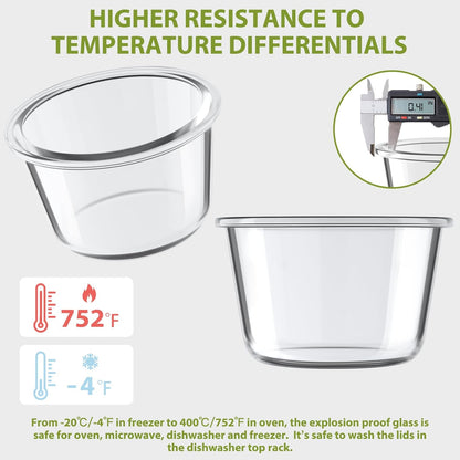 Skiennix 16oz Glass Meal Prep Containers - Airtight BPA-Free Borosilicate Storage | 4-Pack, Microwave & Dishwasher Safe