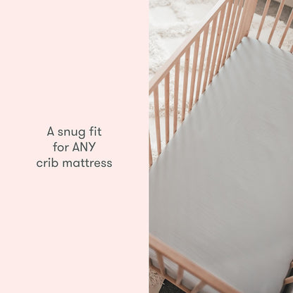 Newton Baby Fitted Crib Sheet (2-Pack) - Ultra Breathable and Soft, Organic Cotton, Fits All Standard Cribs, Sage